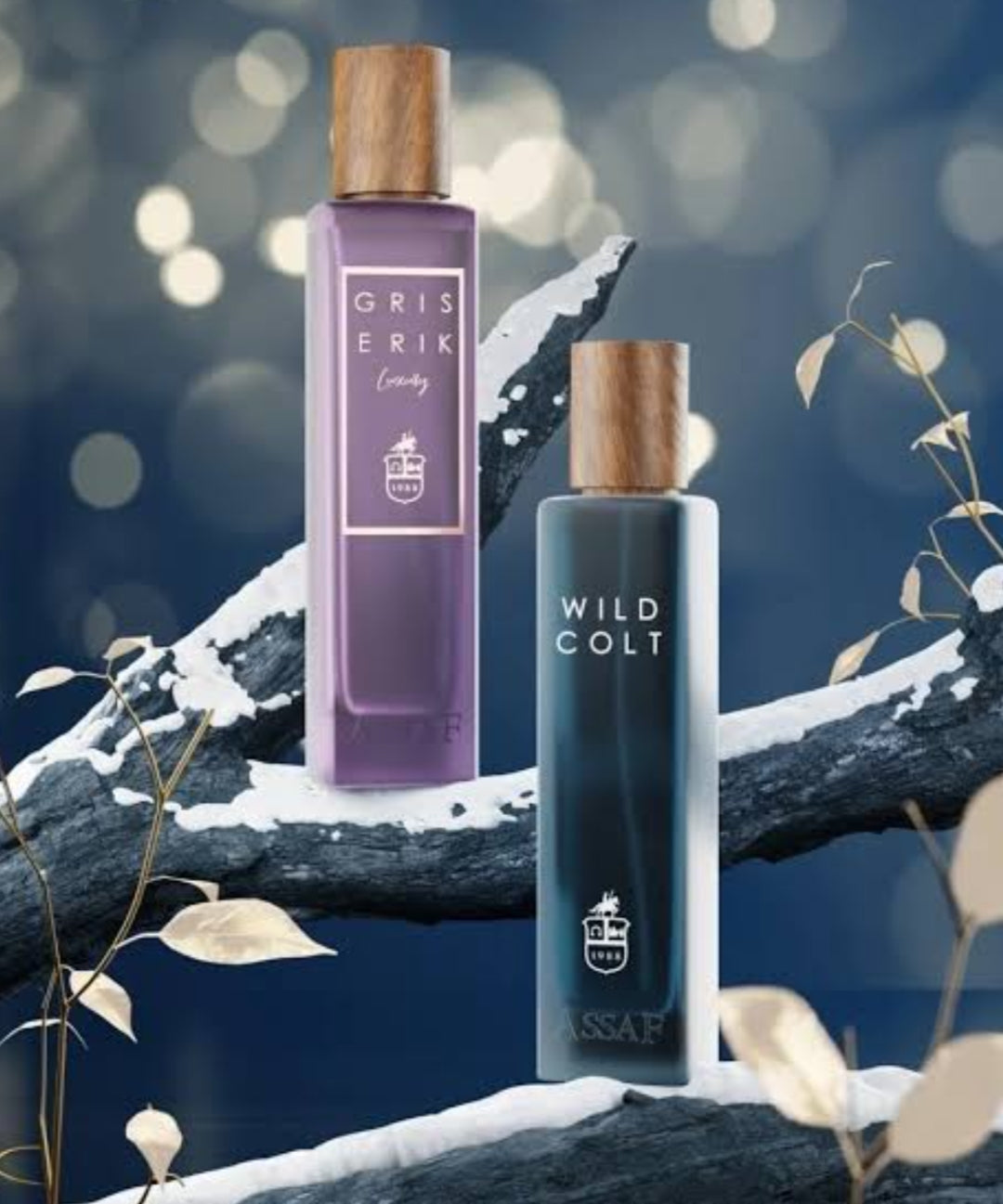 Assaf Wild Cold + Gris Erik