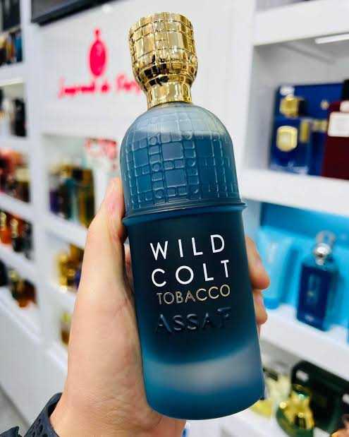 Assaf Wild Colt Tobacco + Gris Erik (200ml x 2)